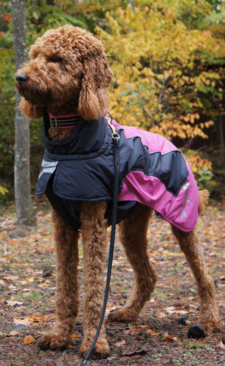 犬の服 秋冬 新作 Hurtta フルッタ アルティメット ウォーマー