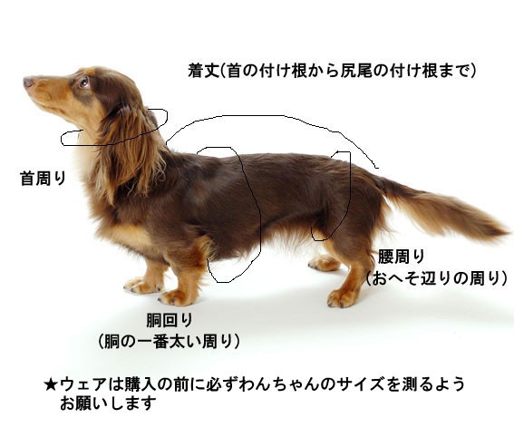 犬の服 首輪 ハーネス ネックレス サイズ表 ドッグウェアのciera 通販 Yahoo ショッピング