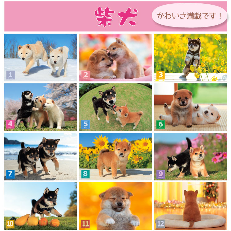 森田米雄 2027 Calendar 壁掛けカ...の詳細画像4