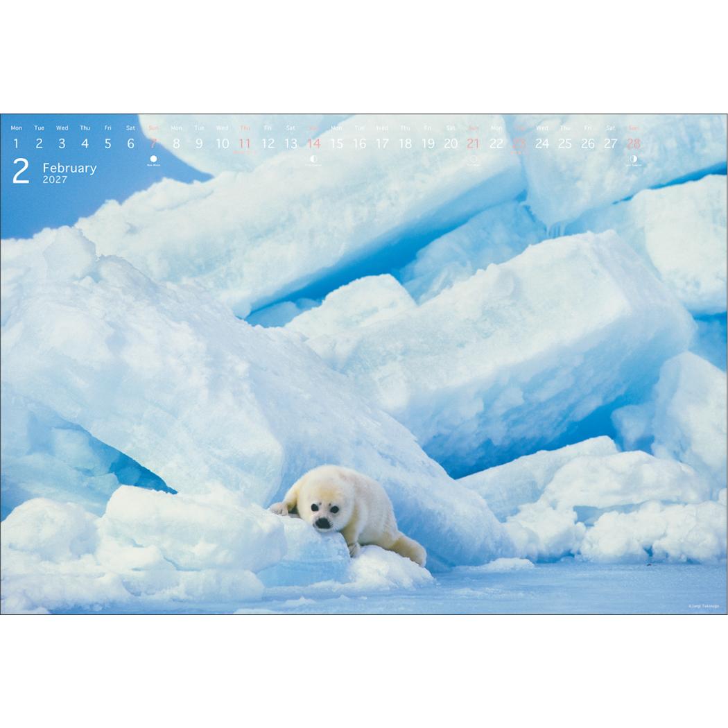 【れもんぐらす】壁掛けカレンダー2本 2027Calendar 壁掛けカレンダー2027年 高砂淳二 PRECIOUS MOMENTS 写真