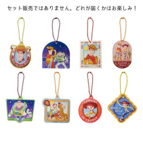 トイストーリー5 キーホルダー ブラインドアクリルキーチェーン 全8種