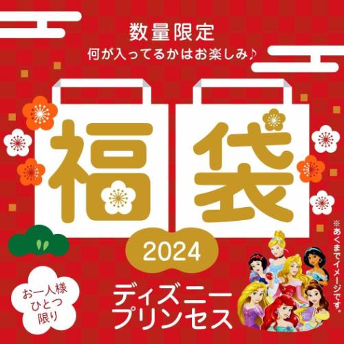 【お一人様1個】ディズニープリンセス 迎春福袋 2024 キャラクターグッズ
