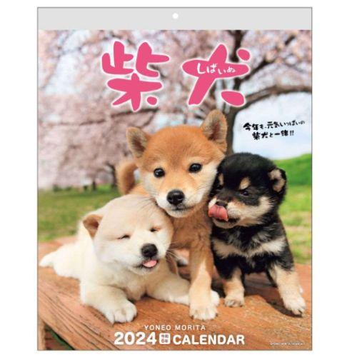 2024 Calendar 森田米雄 まるごと柴犬 壁掛けカレンダー2024年 スケジュール いぬ アクティブコーポレーション