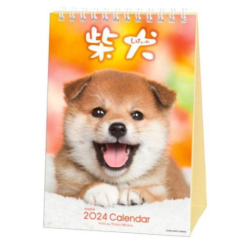 2024 Calendar 森田米雄 まるごと柴犬 卓上カレンダー2024年 いぬ スケジュール 動物写真 書き込み