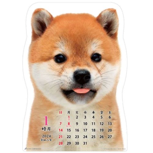 壁掛けカレンダー2024年 柴犬です 2024 Calendar いぬ アクティブコーポレーション ダイカット｜cinemacollection｜02