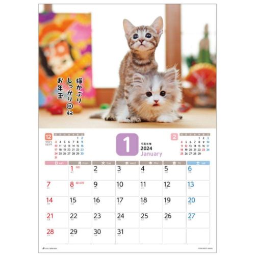 2024 Calendar だってネコだもの。 壁掛けカレンダー2024年 ねこ スケジュール 猫 写真｜cinemacollection｜02