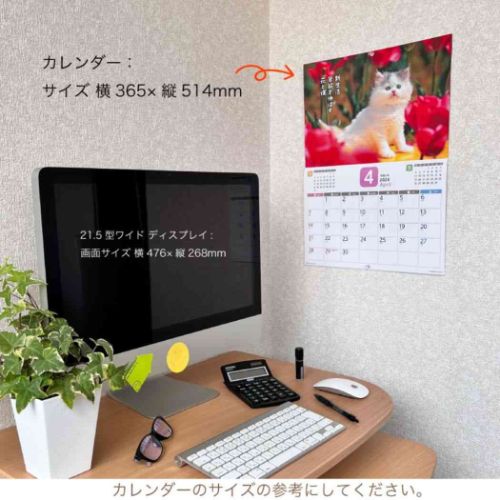 2024 Calendar だってネコだもの。 壁掛けカレンダー2024年 ねこ スケジュール 猫 写真｜cinemacollection｜03