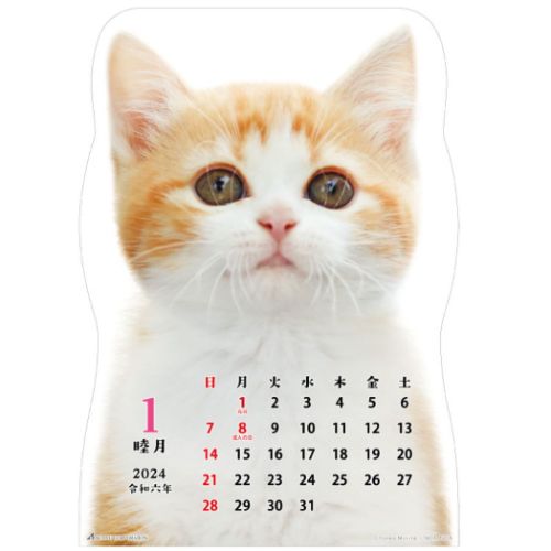 壁掛けカレンダー2024年 猫です 2024 Calendar ねこ アクティブ