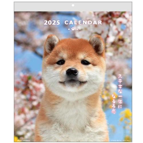 2025 Calendar 壁掛けカレンダー2025年 DOGウォールカレンダー スケジュール いぬ アクティブコーポレーション 動物写真 書き込み