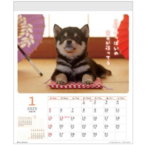 2025 Calendar 壁掛けカレンダー2025年 DOGウォールカレンダー スケジュール いぬ アクティブコーポレーション 動物写真 書き込み