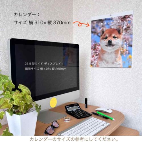 2025 Calendar 壁掛けカレンダー2025年 DOGウォールカレンダー スケジュール いぬ アクティブコーポレーション 動物写真 書き込み