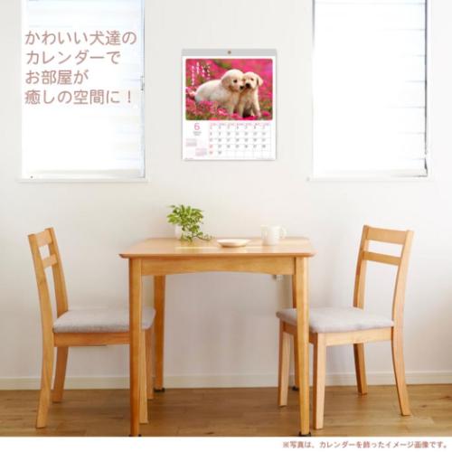 2025 Calendar 壁掛けカレンダー2025年 DOGウォールカレンダー スケジュール いぬ アクティブコーポレーション 動物写真 書き込み