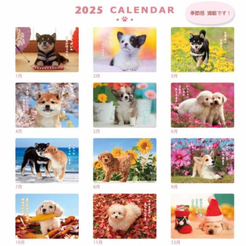 2025 Calendar 壁掛けカレンダー2025年 DOGウォールカレンダー スケジュール いぬ アクティブコーポレーション 動物写真 書き込み