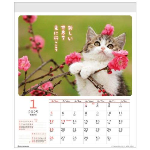 2025 Calendar 壁掛けカレンダー2025年 スケジュール CATウォールカレンダー ねこ アクティブコーポレーション