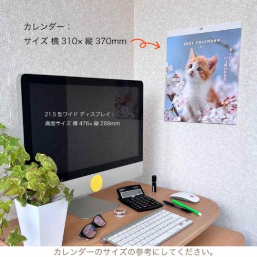 2025 Calendar 壁掛けカレンダー2025年 スケジュール CATウォールカレンダー ねこ アクティブコーポレーション