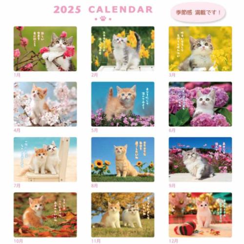 2025 Calendar 壁掛けカレンダー2025年 スケジュール CATウォールカレンダー ねこ アクティブコーポレーション