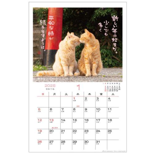 2025 Calendar 壁掛けカレンダー2025年 日なたぼっこ猫だより ねこ スケジュール アクティブコーポレーション 動物写真 書き込み