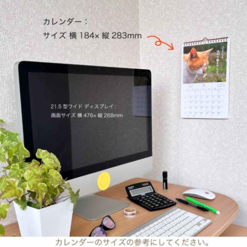 2025 Calendar 壁掛けカレンダー2025年 日なたぼっこ猫だより ねこ スケジュール アクティブコーポレーション 動物写真 書き込み