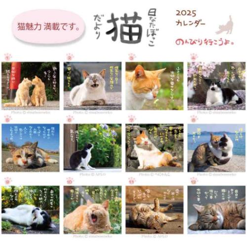 2025 Calendar 壁掛けカレンダー2025年 日なたぼっこ猫だより ねこ スケジュール アクティブコーポレーション 動物写真 書き込み