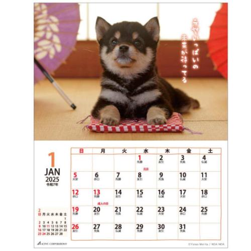 2025 Calendar 壁掛けカレンダー2025年 DOGマンスリー スケジュール アクティブコーポレーション いぬ 動物写真 書き込み