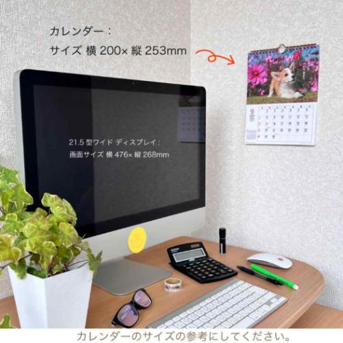 2025 Calendar 壁掛けカレンダー2025年 DOGマンスリー スケジュール アクティブコーポレーション いぬ 動物写真 書き込み