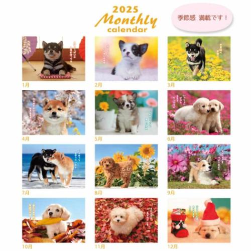 2025 Calendar 壁掛けカレンダー2025年 DOGマンスリー スケジュール アクティブコーポレーション いぬ 動物写真 書き込み