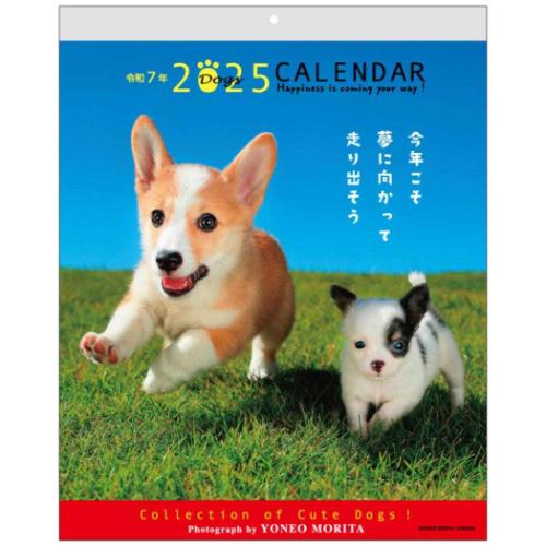 壁掛けカレンダー2025年 2025 Calendar いぬ 森田米雄 メッセージカレンダーDOG スケジュール アクティブコーポレーション