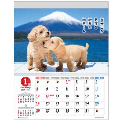 壁掛けカレンダー2025年 2025 Calendar いぬ 森田米雄 メッセージカレンダーDOG スケジュール アクティブコーポレーション