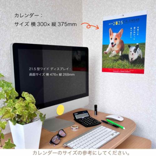 壁掛けカレンダー2025年 2025 Calendar いぬ 森田米雄 メッセージカレンダーDOG スケジュール アクティブコーポレーション