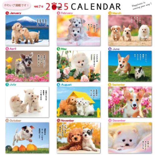 壁掛けカレンダー2025年 2025 Calendar いぬ 森田米雄 メッセージカレンダーDOG スケジュール アクティブコーポレーション