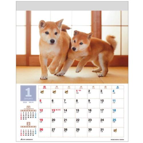 壁掛けカレンダー2025年 2025 Calendar 森田米雄 まるごと柴犬 スケジュール アクティブコーポレーション いぬ 動物写真 書き込み インテリア