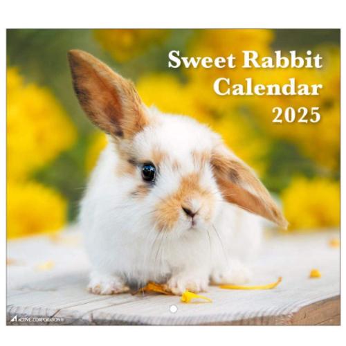 2025 Calendar 壁掛けカレンダー2025年 Sweet Rabbit うさぎ スケジュール アクティブコーポレーション