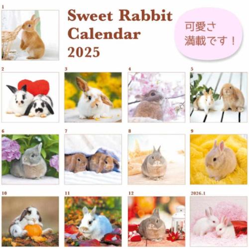 2025 Calendar 壁掛けカレンダー2025年 Sweet Rabbit うさぎ スケジュール アクティブコーポレーション