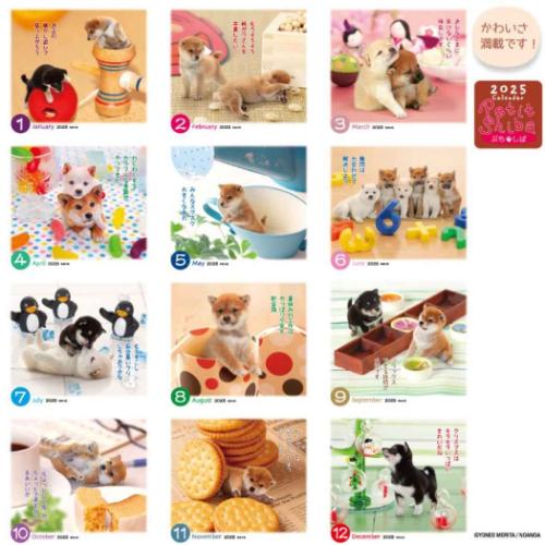 卓上カレンダー2025年 ぷちしば 2025 Calendar いぬ アクティブコーポレーション スケジュール