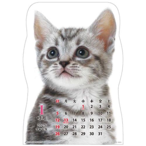 壁掛けカレンダー2025年 2025 Calendar ねこ 猫です ダイカット アクティブコーポレーション 猫 写真