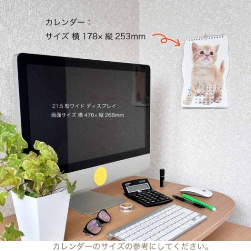 壁掛けカレンダー2025年 2025 Calendar ねこ 猫です ダイカット アクティブコーポレーション 猫 写真