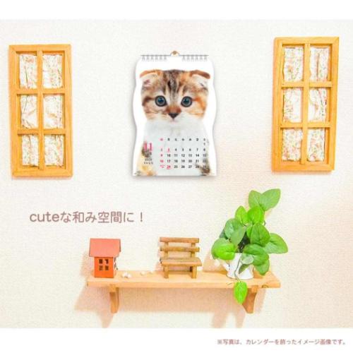 壁掛けカレンダー2025年 2025 Calendar ねこ 猫です ダイカット アクティブコーポレーション 猫 写真