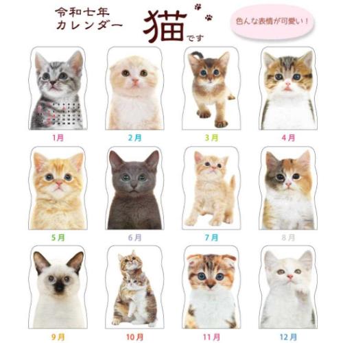 壁掛けカレンダー2025年 2025 Calendar ねこ 猫です ダイカット アクティブコーポレーション 猫 写真