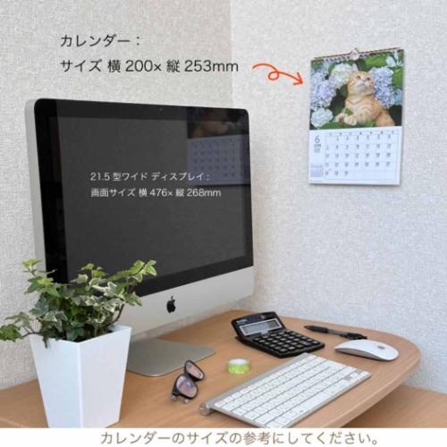 壁掛けカレンダー2026年 2026 Calendar CATマンスリー スケジュール ねこ アクティブコーポレーション