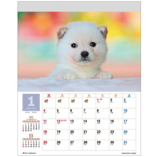2026 Calendar 森田米雄 まるごと柴犬 壁掛けカレンダー2026年 いぬ スケジュール 動物写真 書き込み