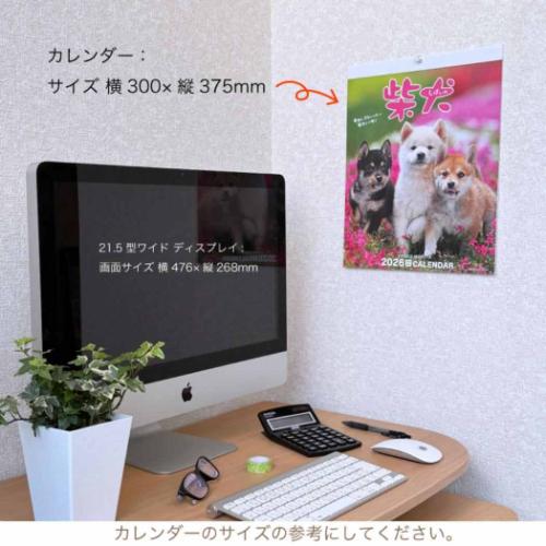 2026 Calendar 森田米雄 まるごと柴犬 壁掛けカレンダー2026年 いぬ スケジュール 動物写真 書き込み