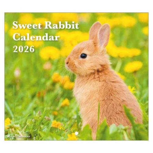 30%OFF】2026 Calendar 壁掛けカレンダー2026年 Sweet Rabbit