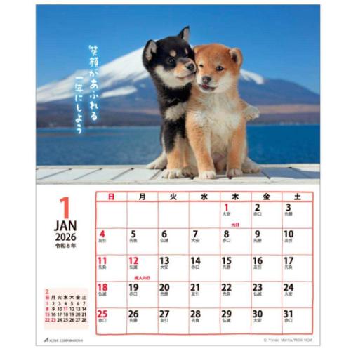 卓上カレンダー2026年 リトルドッグ 2026 Calendar いぬ アクティブ