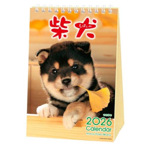 2026 Calendar 卓上カレンダー2026年 森田米雄 まるごと柴犬 いぬ スケジュール アクティブコーポレーション 動物写真 書き込み インテリア
