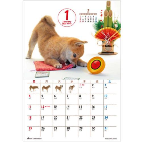 2026 Calendar 卓上カレンダー2026年 森田米雄 まるごと柴犬 いぬ スケジュール アクティブコーポレーション 動物写真 書き込み インテリア