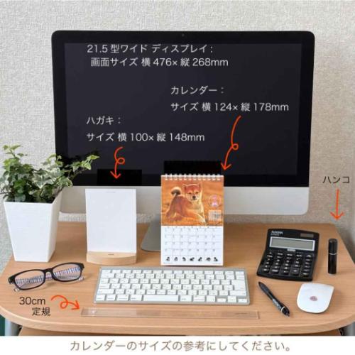 2026 Calendar 卓上カレンダー2026年 森田米雄 まるごと柴犬 いぬ スケジュール アクティブコーポレーション 動物写真 書き込み インテリア