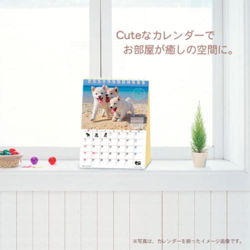 2026 Calendar 卓上カレンダー2026年 森田米雄 まるごと柴犬 いぬ スケジュール アクティブコーポレーション 動物写真 書き込み インテリア