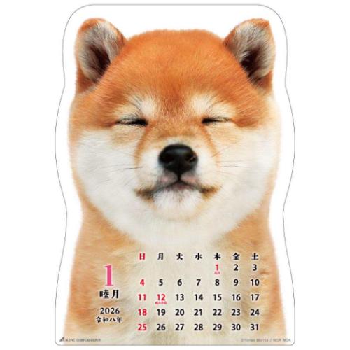 2026 Calendar 柴犬です 壁掛けカレンダー2026年 いぬ ダイカット 柴犬
