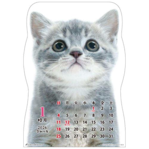 50%OFF】2026 Calendar 猫です 壁掛けカレンダー2026年 ねこ