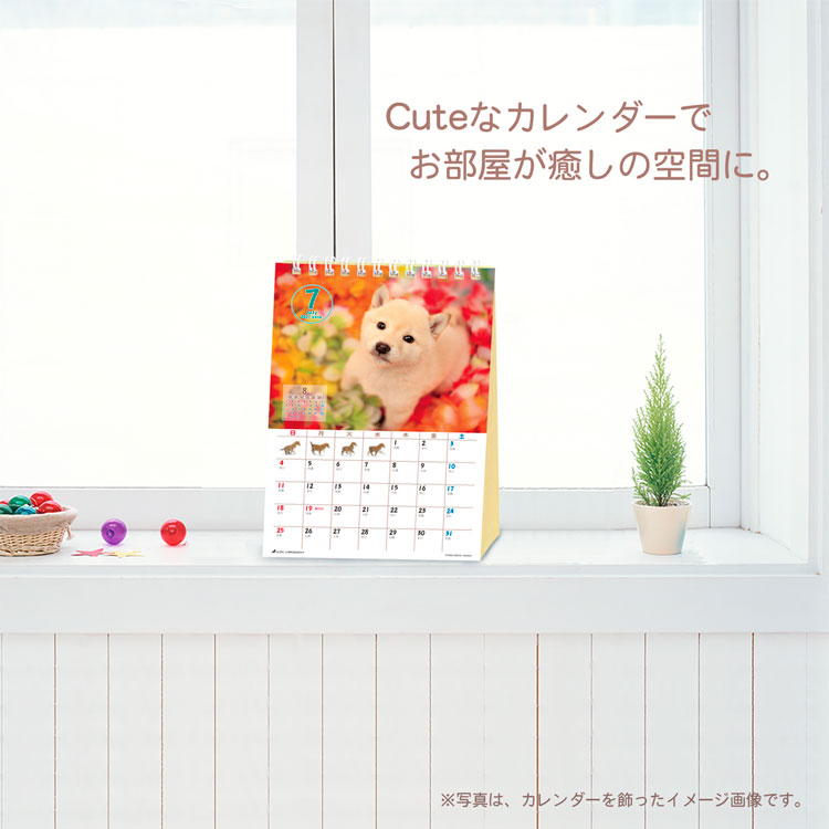 森田米雄 2027 Calendar 卓上カレ...の詳細画像3